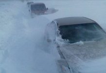 МВД призывает водителей не игнорировать сообщения об ухудшении погодных условий Буран на трассе