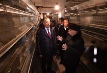 ЮКО: Толебийские фермеры, объединившись в кооперативы, развивают птицеводство Аким ЮКО напредприятии в Толебийском районе