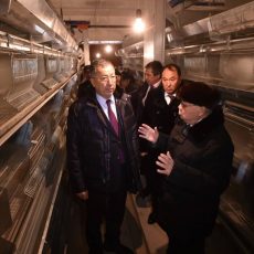 ЮКО: Толебийские фермеры, объединившись в кооперативы, развивают птицеводство Аким ЮКО напредприятии в Толебийском районе