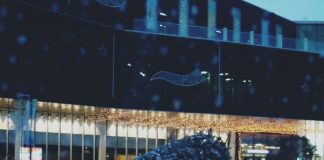 Сильный ветер в Шымкенте повалил новогодние елки Упала елка в Шымкенте