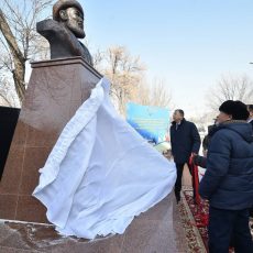 Три камня медицины появились в Шымкенте