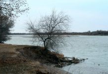 Купание мужчин в Сырдарье закончилось трагедией Сырдарья