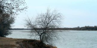 Купание мужчин в Сырдарье закончилось трагедией Сырдарья