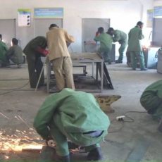В Шымкенте можно получить бесплатное краткосрочное профессиональное образование по 30 специальностям В ЮКО более 100 молодых специалистов осваивают профессии по дуальной системе