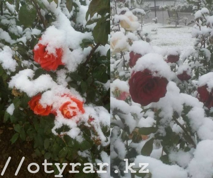 Зима в Шымкенте