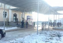 Поправить свое здоровье кобыльим молоком можно неподалеку от Шымкента