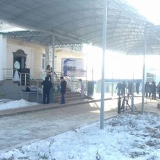 Поправить свое здоровье кобыльим молоком можно неподалеку от Шымкента