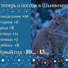 Погода в последнюю неделю года вызвала бурные споры среди шымкентцев Погода в Шымкенте на Новый год