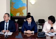 Назначен новый руководитель аппарата акима Шымкента Новый руководитель аппарат акима Шымкента