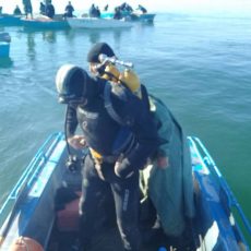 За пять дней в Казахстане утонули 22 человека В Шардаре утонули рыбаки