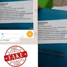 Фейк о «ежемесячном пособии на ребенка» добрался и до Шымкента Фейк о пособии на детей