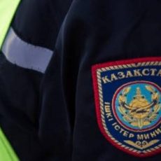 ОПМ «Правопорядок» в ЮКО: раскрыто 160 преступлений, в том числе два убийства Завершено ОПМ "Правопорядок"