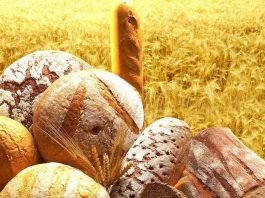 День хлеба в Казахстане