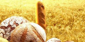 Подорожание муки привело к росту цены на хлеб в Шымкенте День хлеба в Казахстане