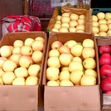 Предпраздничные цены на овощи и фрукты в Шымкенте устраивают покупателей