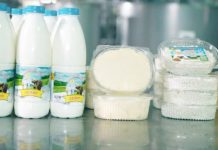 Молочный бренд из Кентау готов покорять Шымкент Молочный бренд из Кентау готов покорять Шымкент