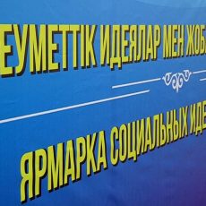 Гражданский альянс Южно-Казахстанской области Ярмарка