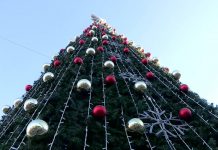 Рейтинг новогодних елок Шымкента и Туркестанской области