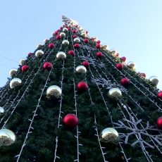 Рейтинг новогодних елок Шымкента и Туркестанской области