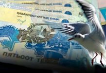 Фотограф из Швейцарии узнал свою чайку на казахстанской банкноте Банкнота-с-чайкой