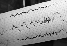 В Шымкенте значительно ощутили землетрясение из Кыргызстана
