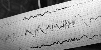 В Шымкенте значительно ощутили землетрясение из Кыргызстана