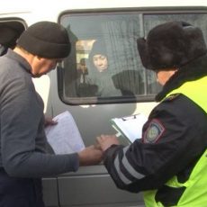 Порядка тысячи нарушителей-водителей автобусов выявили полицейские в ЮКО Полицейский проверяет документы