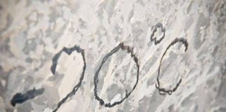 Синоптики ожидают в Шымкенте 18-20 градусов мороза Мороз в Шымкенте