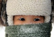 В Кентау и Созаке ЮКО отменены занятия в школах Занятия в школах ЮКО отменили