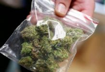 1,5 кг марихуаны изъяли полицейские Туркестанской области