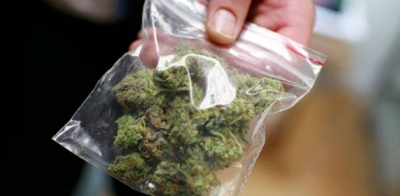 Задержан марихуаной удобрение для домашней марихуаны