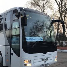Билеты на автобус «Шымкент-Ташкент» значительно подешевели Автобус из Ташкента