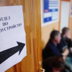 Подробности по делу главы центра занятости Шымкента Жамалбекова озвучили в суде Отдел по трудоустройству