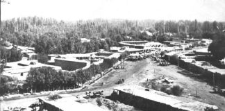 Дело было в городе Черняеве Сыр-Дарьинской области… Старый Чимкент