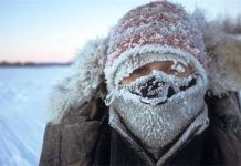 Из +20 в минус. В Шымкент придут заморозки Сильный мороз