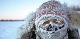 Из +20 в минус. В Шымкент придут заморозки Сильный мороз