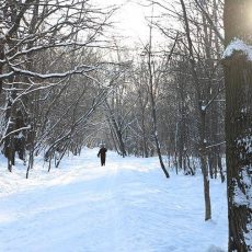 В Крещение ожидается морозная погода без осадков Зима. Погода на Крещение