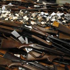 300 единиц оружия сдали жители ЮКО за время акции Наибольшая активность населения по добровольной сдаче оружия отмечено в ЮКО
