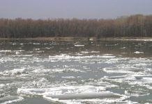 Штормовое предупреждение в ЮКО действует по 31 января включительно Лед на реке