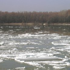 Спасатели предупреждают: Осторожно, тонкий лед Лед на реке