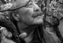 Восьмая нота шымкентского скульптора Насыра Рустемова Рустемов Насыр