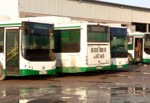 В Шымкент едут новые автобусы Автопарк Green Bus
