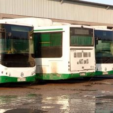 В Шымкент едут новые автобусы Автопарк Green Bus