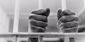 Мужчина приревновал свою сожительницу и забил ее до смерти Забил до смерти