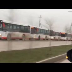В Шымкент прибыла первая партия новых автобусов из Китая