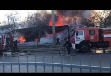 Пожар в Шымкенте охватил 550 кв.м. Эвакуировано 550 человек