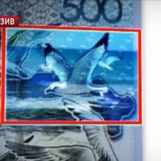 Еще один иностранный фотограф заявил о своих правах на изображение чайки на банкноте в 500 тенге Еще один иностранный фотограф заявил о своих правах на изображение чайки на банкноте в 500 тенге