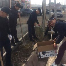 16 тысяч шымкентцев проводили зиму общегородским субботником (фото) Неравнодушные горожане вышли на общегородской субботник