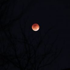 Самое длинное лунное затмение века казахстанцы увидят 27 июля Кровавая Луна. Суперлуние