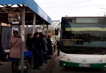 Крупнейшая транспортная компания Шымкента Green Bus Company отмечает день рождения Автобус Грин Бас компани